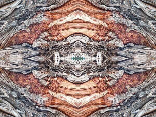 Saint Mary's 1 - Get your Di Vinci on by gracing your space with a natural masterpiece - a 16" x 12" Acrylic Print of Mirrored Natural Wood