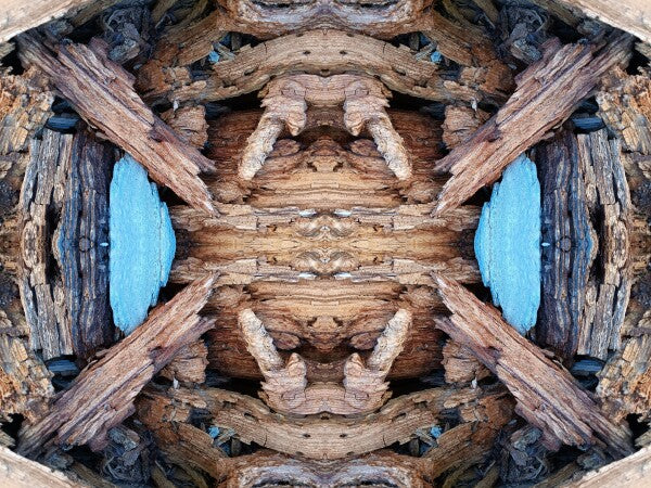 Purgatory 1 - a stunning 16" x 12" Acrylic Print of Mirrored Natural Wood