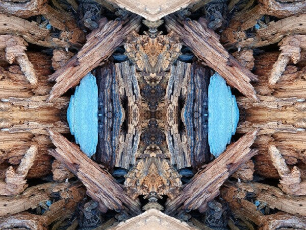 Purgatory 3 - a stunning 16" x 12" Acrylic Print of Mirrored Natural Wood