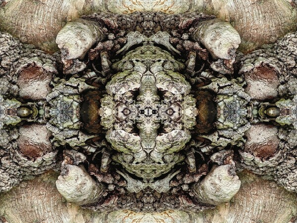 Heart of the Matter 1 - a stunning 16" by 12" Acrylic Print of Mirrored Natural Wood