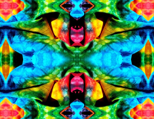 Carefree 1 - A splash of fun and color for your walls! Canvas prints available in 16" x 12" or 24"x 18"