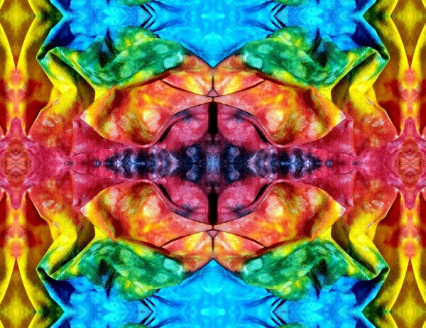 Whimsey 3 - A colorful and imaginative addition for your walls! Canvas 16" x 12" or 24" x 18"