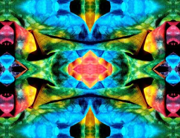 Carefree 4 - A splash of fun and color for your walls! Canvas prints available in 16" x 12" or 24"x 18"