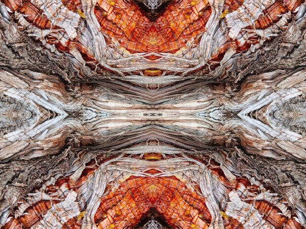 Annunciation 2 - Intricate detail and grace-filled lines will lift your spirits in this 16" x 12" Acrylic Print of Mirrored Natural Wood