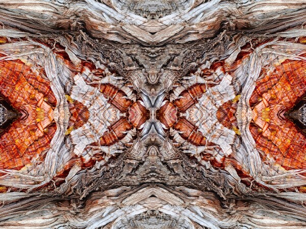 Annunciation 3 - Intricate detail and grace-filled lines will lift your spirits in this 16" x 12" Acrylic Print of Mirrored Natural Wood