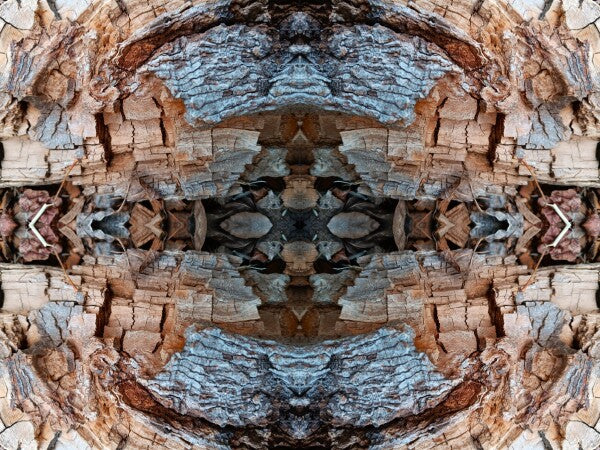 Mosaic 3 - a stunning 16" x 12" Acrylic Print of Mirrored Natural Wood