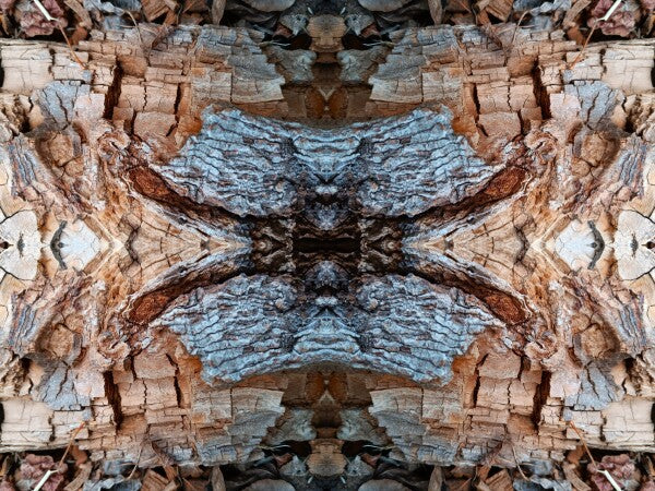 Mosaic 4 - a stunning 16" x 12" Acrylic Print of Mirrored Natural Wood