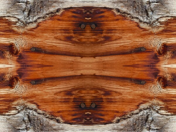 Tarry On # 4 - Celebrate your wandering spirit in an Acrylic Print of planked wood that has been there and done that!