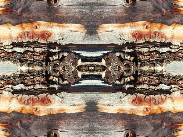 Bored Walk #1 - Chap your walls with tales from the trail with an Acrylic Print of Mirrored Natural wood.