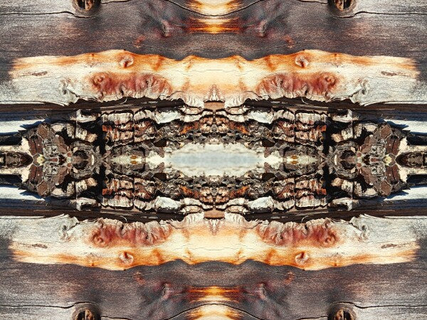 Bored Walk #2 - Chap your walls with tales from the trail with an Acrylic Print of Mirrored Natural wood.