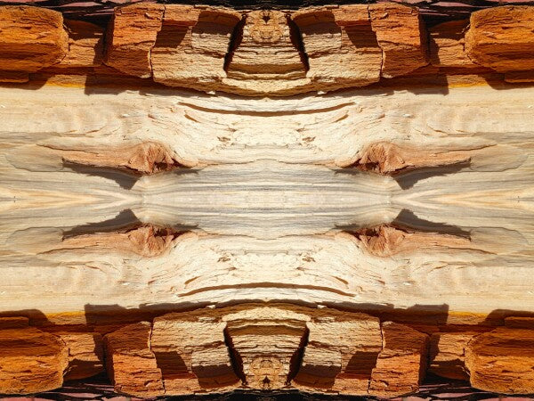 Comanche Trail #4 - a stunning 16" x 12" Acrylic Print of Mirrored Natural Wood