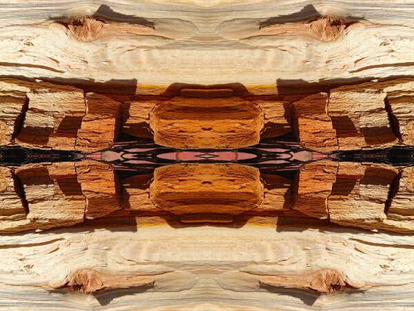 Comanche Trail #3 - a stunning 16"x12" Acrylic Print of Mirrored Natural Wood