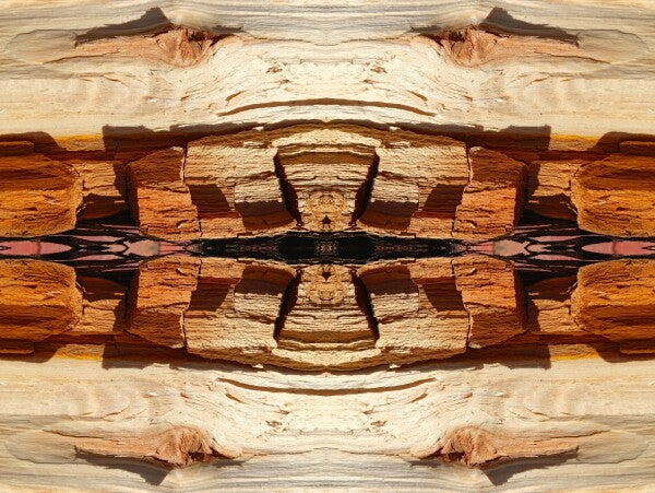 Comanche Trail #1 - a stunning 16" x 12" Acrylic Print of Mirrored Natural Wood