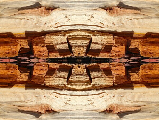 Comanche Trail #1 - a stunning 16" x 12" Acrylic Print of Mirrored Natural Wood