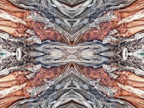 Saint Mary's 4 - Get your Di Vinci on by gracing your space with a natural masterpiece - a 16" x 12" Acrylic Print of Mirrored Natural Wood