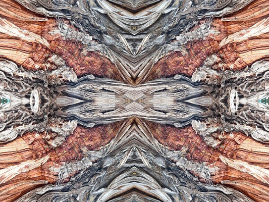 Saint Mary's 4 - Get your Di Vinci on by gracing your space with a natural masterpiece - a 16" x 12" Acrylic Print of Mirrored Natural Wood