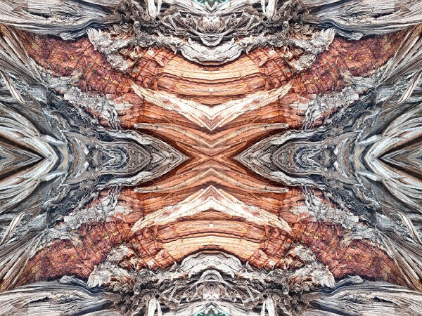 Saint Mary's 3 - Get your Di Vinci on by gracing your space with a natural masterpiece - a 16" x 12" Acrylic Print of Mirrored Natural Wood