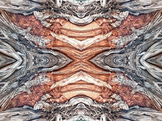 Saint Mary's 3 - Get your Di Vinci on by gracing your space with a natural masterpiece - a 16" x 12" Acrylic Print of Mirrored Natural Wood