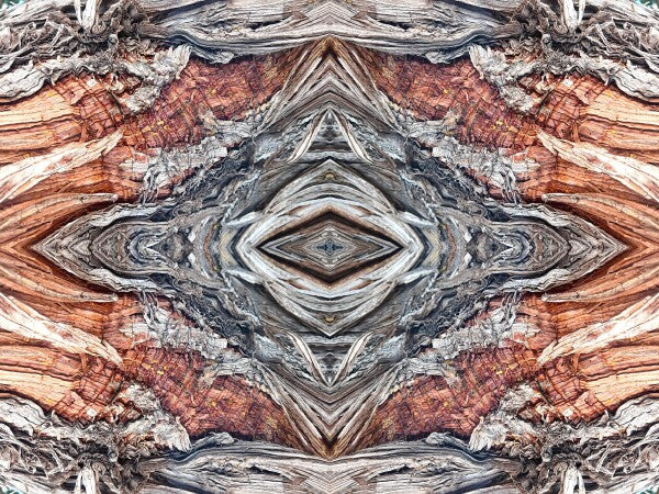 Saint Mary's 2 - Get your Di Vinci on by gracing your space with a natural masterpiece - a 16" x 12" Acrylic Print of Mirrored Natural Wood