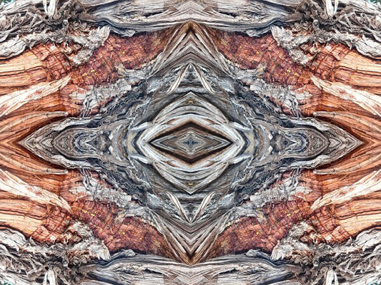 Saint Mary's 2 - Get your Di Vinci on by gracing your space with a natural masterpiece - a 16" x 12" Acrylic Print of Mirrored Natural Wood
