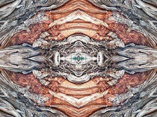 Saint Mary's 1 - Get your Di Vinci on by gracing your space with a natural masterpiece - a 16" x 12" Acrylic Print of Mirrored Natural Wood