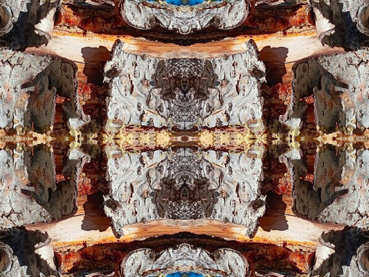 Colorado Morning 3 - a stunning 16" x 12" Acrylic Print of Mirrored Natural Wood