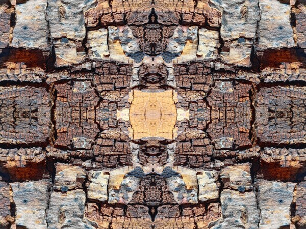 Chunky 2 - a stunning 16" x 12" Acrylic Print of Mirrored Natural Wood