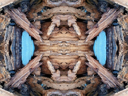 Purgatory 1 - a stunning 16" x 12" Acrylic Print of Mirrored Natural Wood