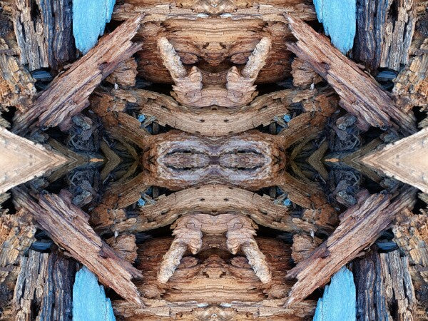 Purgatory 2 - a stunning 16" x 12" Acrylic Print of Mirrored Natural Wood