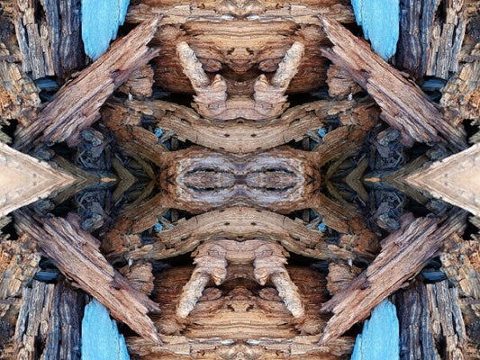Purgatory 2 - a stunning 16" x 12" Acrylic Print of Mirrored Natural Wood