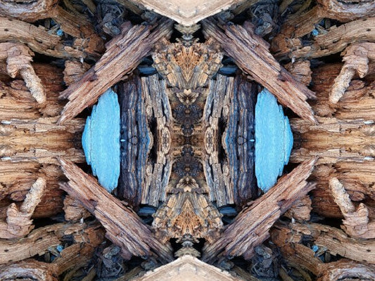 Purgatory 3 - a stunning 16" x 12" Acrylic Print of Mirrored Natural Wood