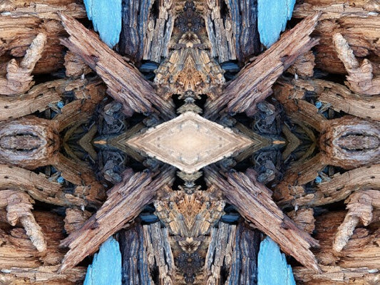 Purgatory 4 - a stunning 16" x 12" Acrylic Print of Mirrored Natural Wood