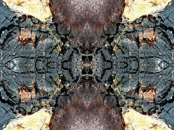 Toasted 1 - a stunning 16" x 12" Acrylic Print of Mirrored Natural Wood