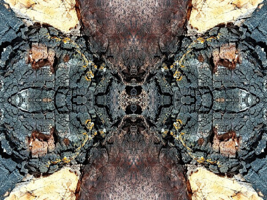 Toasted 1 - a stunning 16" x 12" Acrylic Print of Mirrored Natural Wood
