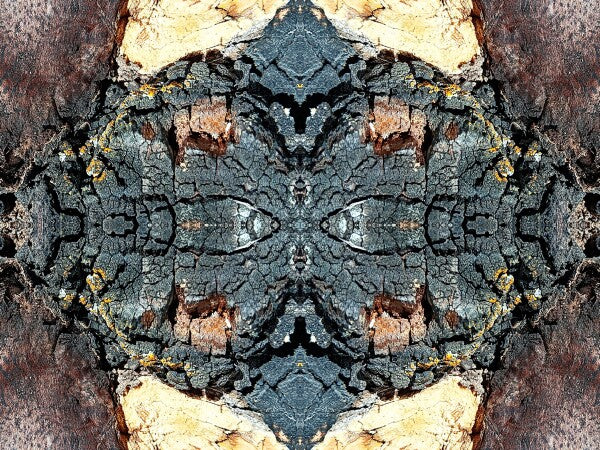 Toasted 2 - a stunning 16" x 12" Acrylic Print of Mirrored Natural Wood