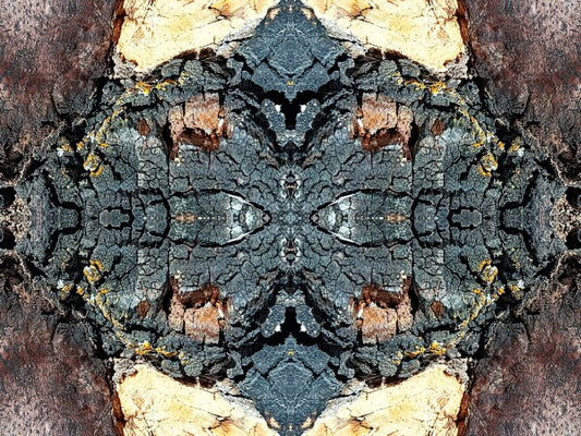 Toasted 2 - a stunning 16" x 12" Acrylic Print of Mirrored Natural Wood