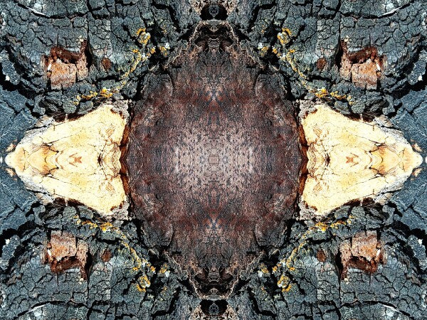 Toasted 3 - a stunning 16" x 12" Acrylic Print of Mirrored Natural Wood