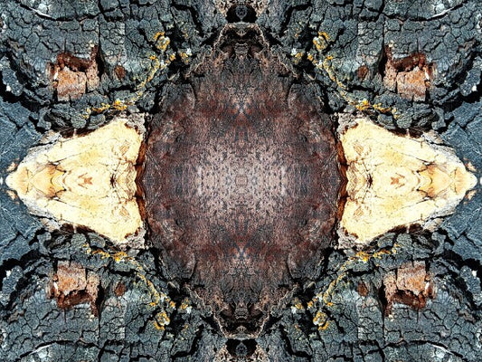 Toasted 3 - a stunning 16" x 12" Acrylic Print of Mirrored Natural Wood