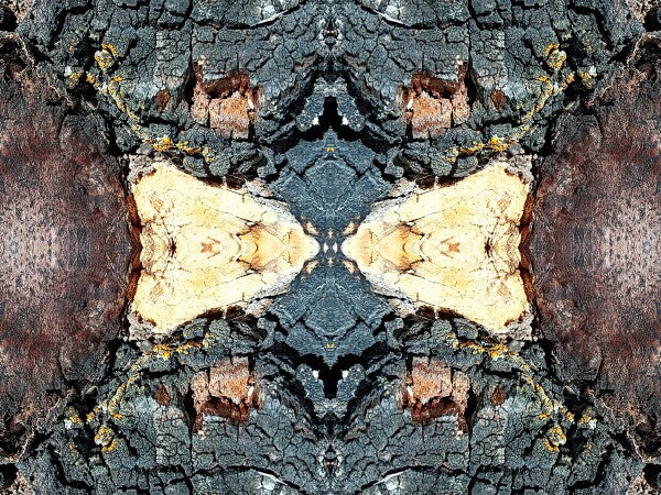 Toasted 4 - a stunning 16" x 12" Acrylic Print of Mirrored Natural Wood