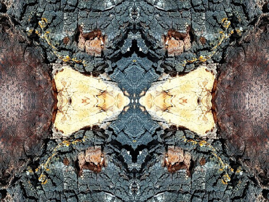 Toasted 4 - a stunning 16" x 12" Acrylic Print of Mirrored Natural Wood