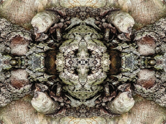 Heart of the Matter 1 - a stunning 16" by 12" Acrylic Print of Mirrored Natural Wood