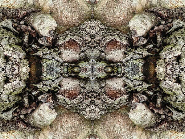 Heart of the Matter 2 - a stunning 16" by 12" Acrylic Print of Mirrored Natural Wood