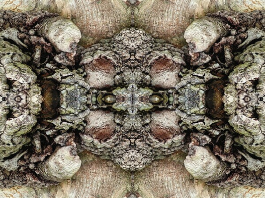 Heart of the Matter 2 - a stunning 16" by 12" Acrylic Print of Mirrored Natural Wood
