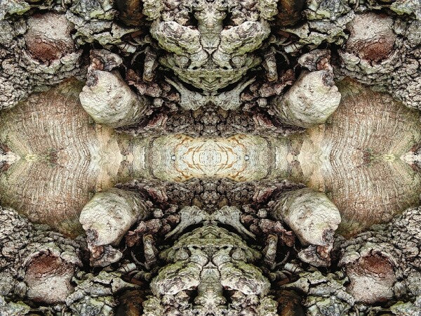 Heart of the Matter 3 - a stunning 16" by 12" Acrylic Print of Mirrored Natural Wood