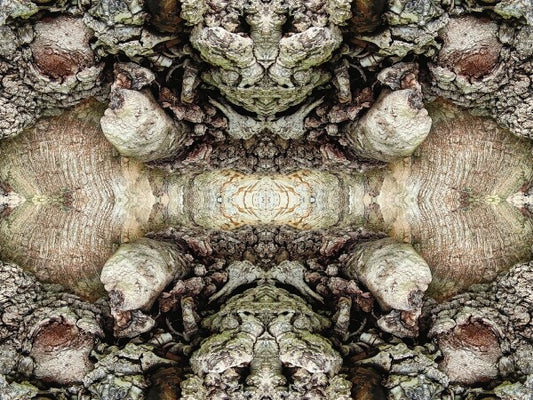 Heart of the Matter 3 - a stunning 16" by 12" Acrylic Print of Mirrored Natural Wood
