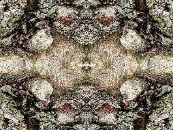 Heart of the Matter 4 - a stunning 16" by 12" Acrylic Print of Mirrored Natural Wood
