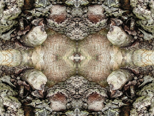 Heart of the Matter 4 - a stunning 16" by 12" Acrylic Print of Mirrored Natural Wood