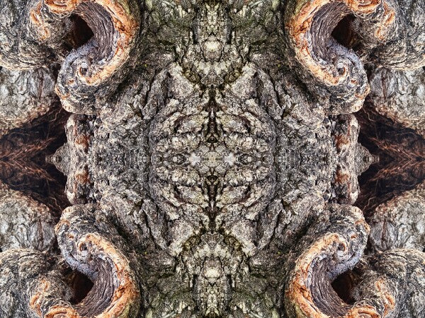 City Park 2 - a stunning 16" by 12" Acrylic Print of Mirrored Natural Wood