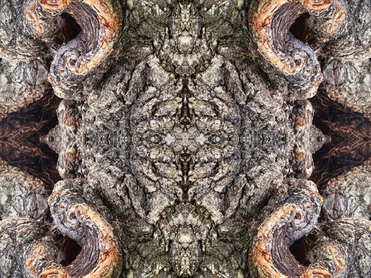 City Park 2 - a stunning 16" by 12" Acrylic Print of Mirrored Natural Wood