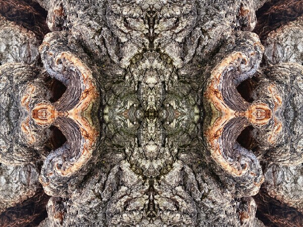 City Park 4 - a stunning 16" by 12" Acrylic Print of Mirrored Natural Wood
